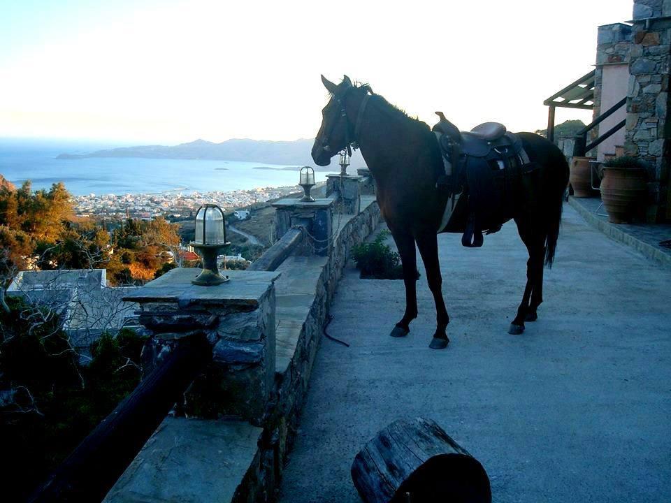 Makronas Apartments Karystos  Esterno foto